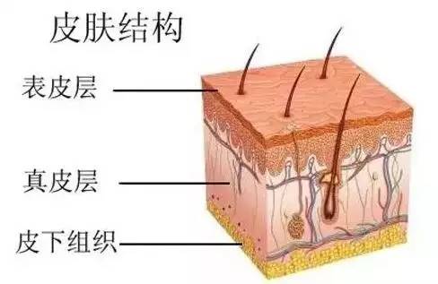 重庆骑士医院.jpg